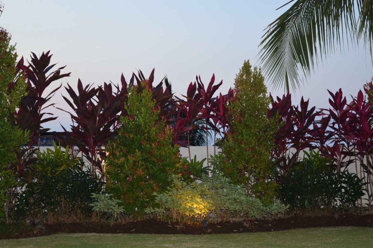 Villa Putih Lovina Esterno foto