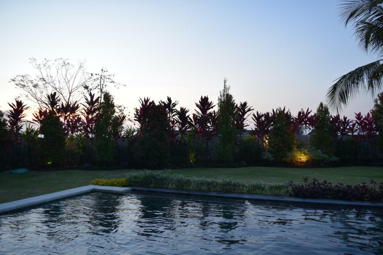Villa Putih Lovina Esterno foto