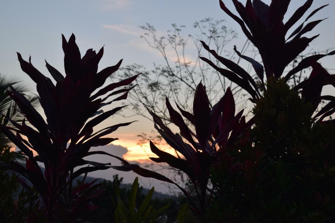 Villa Putih Lovina Esterno foto